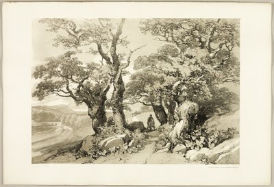 Oude eiken, uit Het park en het bos door James Duffield Harding