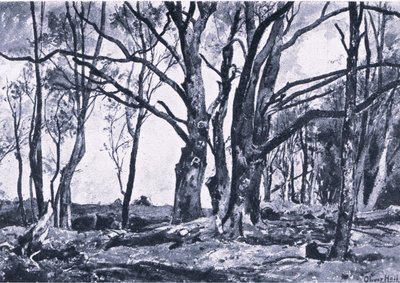Knotwilgen in de weilanden van Windsor, Natuur in Groot-Brittannië uitgegeven door Collins door James Duffield Harding
