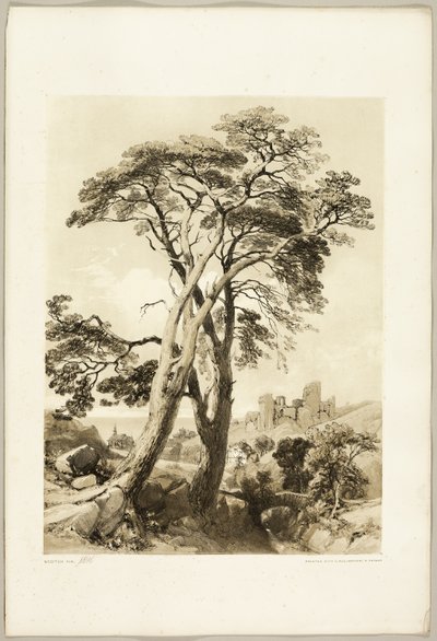Grove Den, uit Het Park en het Bos door James Duffield Harding