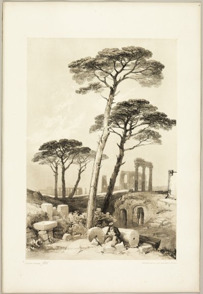 Steeneiken, uit Het Park en het Bos door James Duffield Harding