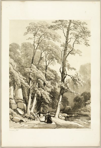 Plataan, uit Het park en het bos door James Duffield Harding