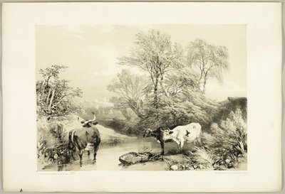 Doorn, Wilg, Beuk en Berk, uit Het Park en het Bos door James Duffield Harding