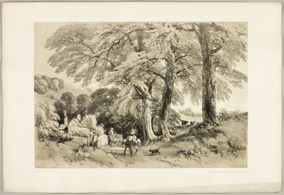 Wych Elm, uit Het park en het bos door James Duffield Harding