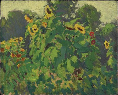 Zonnebloemen, Thornhill door James Edward Hervey Macdonald