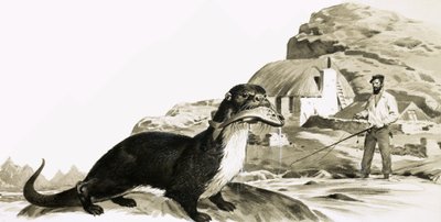 Otter met vis en vissende man door James Edwin McConnell