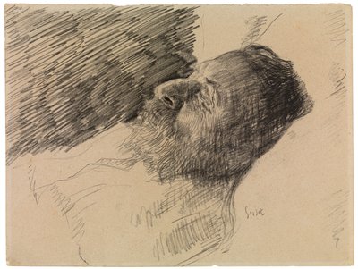De vader van de kunstenaar in de dood door James Ensor