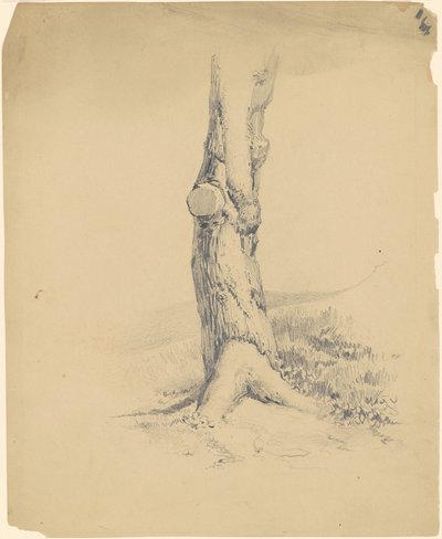 Oude boomstam door James Goodwyn Clonney