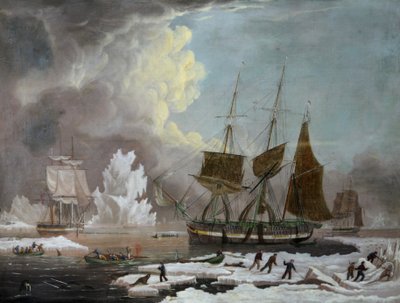 Hull Walvisvaarder, 