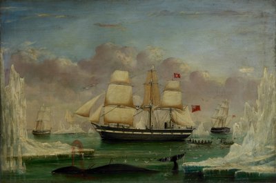 De Walvisvaarder 