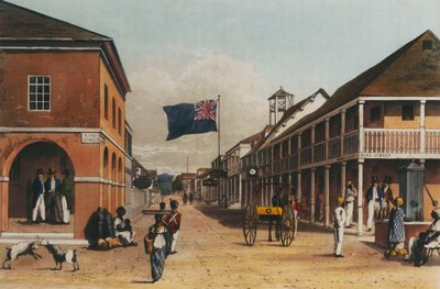 Een schilderachtige rondreis over het eiland Jamaica, van tekeningen gemaakt in de jaren 1820 en 1821, 1820-21 door James Hakewill