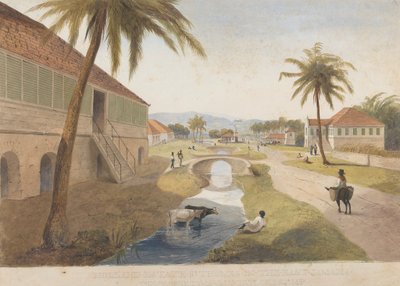 Holland Estate, St. Thomas in the East, Jamaica door James Hakewill