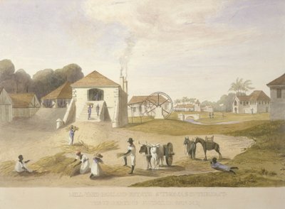 Mill Yard, Holland Estate, St. Thomas in the East door James Hakewill