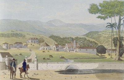 Montpelier Estates, St James, uit 