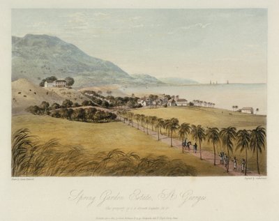 Het Spring Garden-eigendom in St. George (Caribisch gebied), eigendom van I R Grosett Esquire. Gekleurde ets, 1 april door James Hakewill