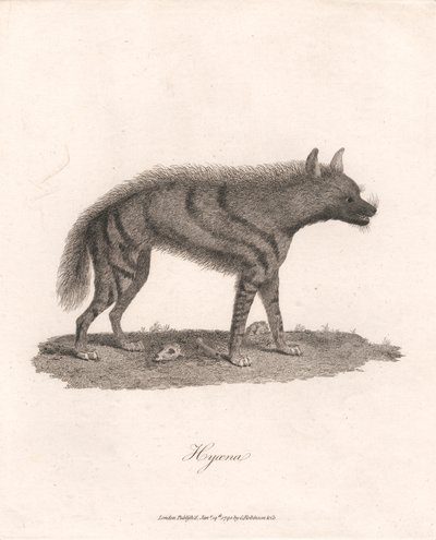 Hyena door James Heath