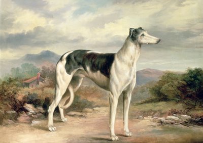 Een windhond in een heuvelachtig landschap door James Henry Beard