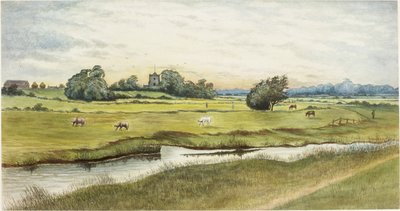 Ryton Meadows door James Henry Cleet