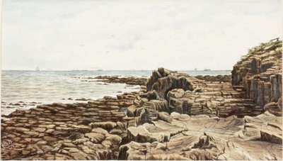 Tynemouth vanaf Sharpness Point door James Henry Cleet