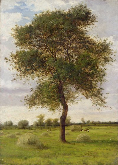 Studie van een es in de zomer door James Hey Davies
