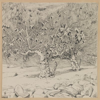Vijgenboom, Vallei van Hinnom, illustratie uit Het Leven van Onze Heer Jezus Christus door James Jacques Joseph Tissot