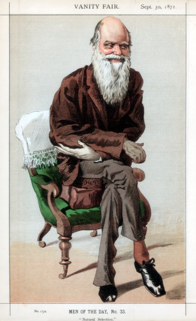 Natuurlijke Selectie, 1871 door James Jacques Joseph Tissot