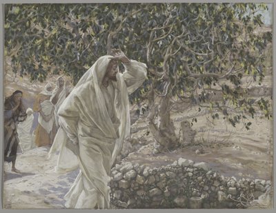 De vervloekte vijgenboom door James Jacques Joseph Tissot