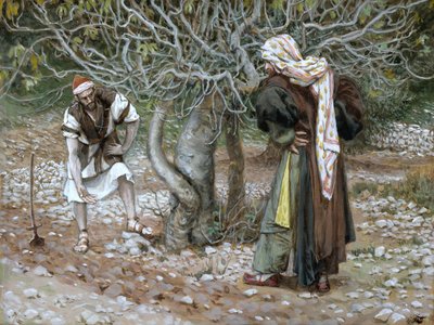 De onvruchtbare vijgenboom, illustratie voor Het leven van Christus, ca. 1886-94 door James Jacques Joseph Tissot