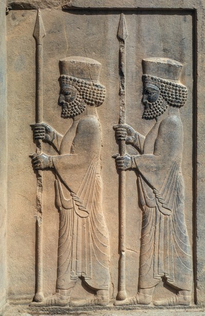 Een gebeeldhouwd reliëf in Persepolis. Darius I begon met de bouw van zijn ceremoniële hoofdstad door James L Stanfield