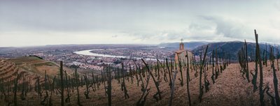 Een wijngaard met uitzicht op de stad en de Rhône. SOCIETE PAUL JABOULET AINE WIJN... door James L Stanfield