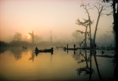 Oktoberzon verdrijft ochtendmist boven Alligator Bayou in de delta van Louisiana door James L Stanfield