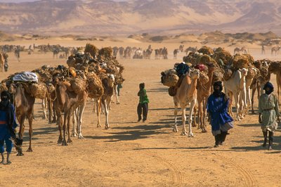 Zoutkaravaan buiten Fachi. NABIJ FACHI, NIGER. door James L Stanfield