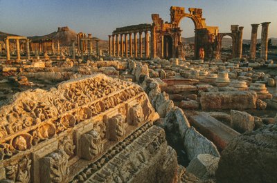 Uitzicht op de Romeinse ruïnes in Palmyra. Palmyra, Syrië. door James L Stanfield
