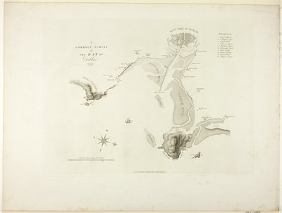 Een Correcte Opname van de Baai van Dublin door James Malton