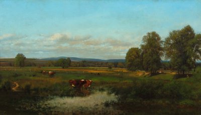 Koeien in de Weide 1870 door James McDougal Hart
