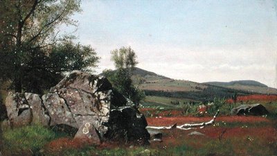 Zomer in de Catskills door James McDougal Hart