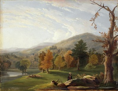 Uitzicht tussen de Helderbergs, Catskills in de Verte, 1850 door James McDougal Hart
