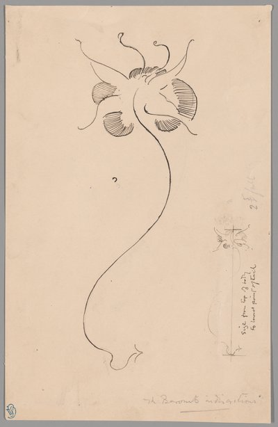 Vlinder (recto); Studie van een vlinder (verso) door James McNeill Whistler