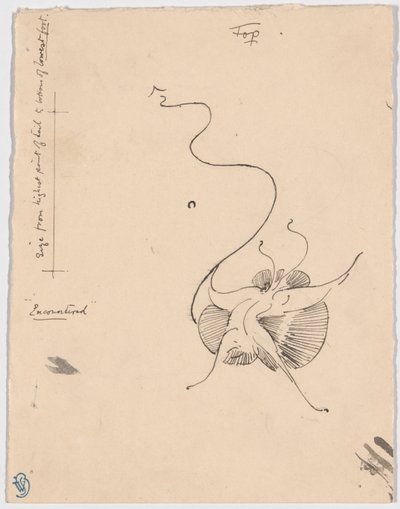 Vlinder "Encountered" (recto); Schets voor staartstuk (verso) door James McNeill Whistler