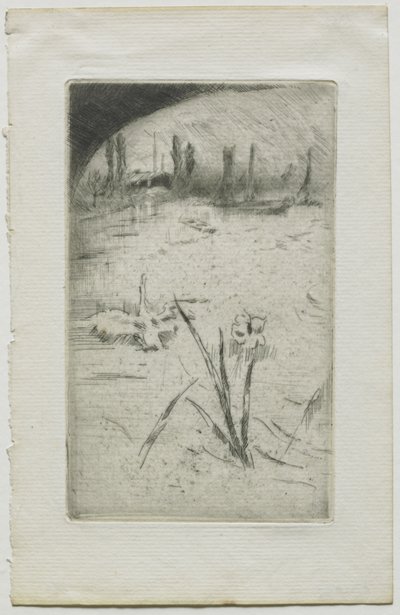 Zwaan en iris door James McNeill Whistler