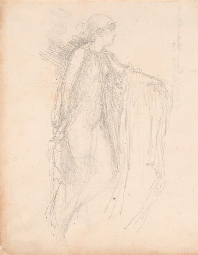 De pet door James McNeill Whistler