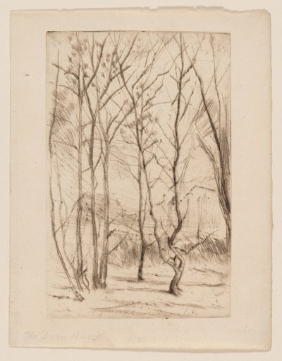 Het Damhout door James Abbott McNeill Whistler