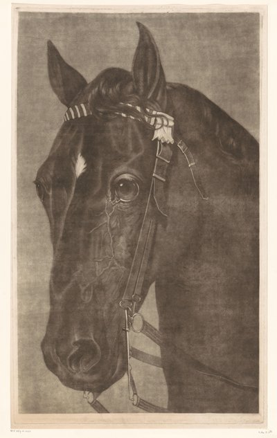 Kop van een paard met een hoofdstel door James Newman Hodges