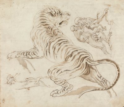Studie voor een tijger en apen door James Northcote