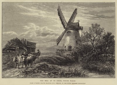 Oude molen bij Ty Corss, Noord-Wales door James Orrock