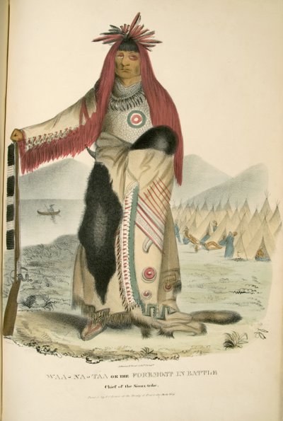Waa-Na-Taa of de Voornaamste in de Slag door James Otto Lewis