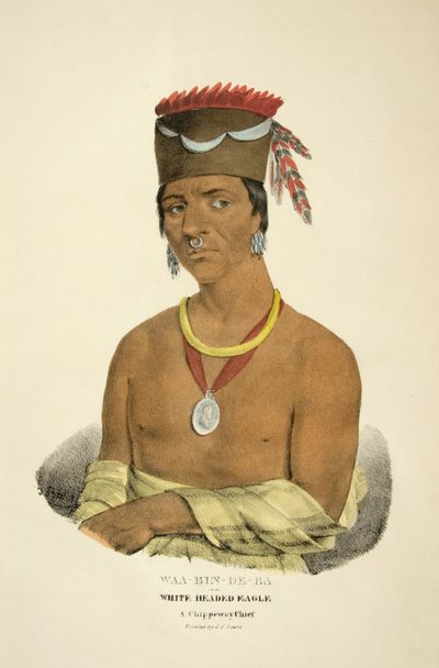 Waa-bin-de-ba of de Witte Gehoofd Adelaar door James Otto Lewis