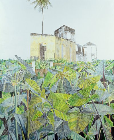 Ruïne in een Moeras, Haïti, 1971 door James Reeve