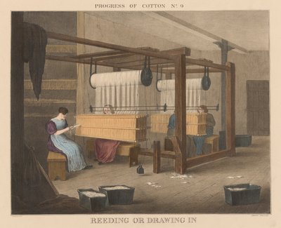 Voortgang van Katoen: #9 - Rieten of inrijgen door James Richard Barfoot