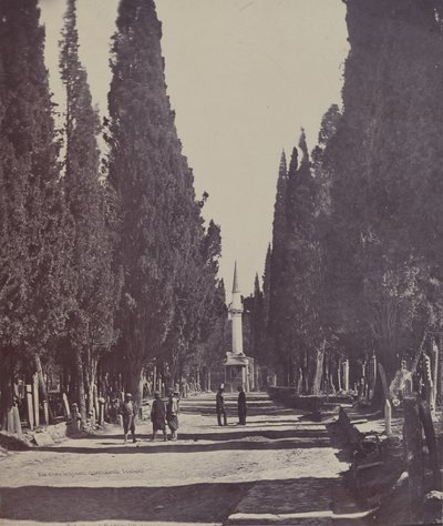 Vue dans le Grand Cimetière de Scutari door James Robertson