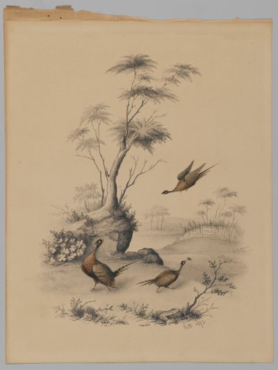 Drie fazanten, 1873 door James Ryder van Brunt